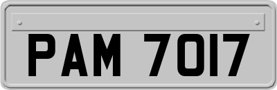 PAM7017