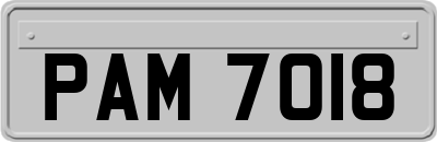 PAM7018