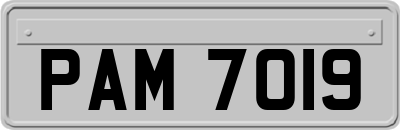 PAM7019