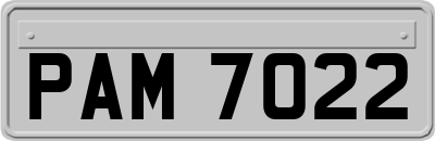 PAM7022