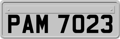 PAM7023