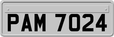 PAM7024