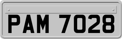 PAM7028