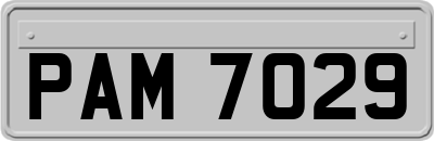 PAM7029