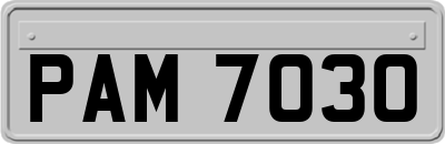 PAM7030