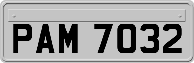 PAM7032