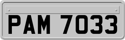 PAM7033