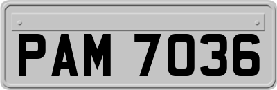 PAM7036