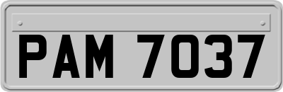 PAM7037