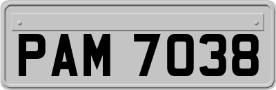 PAM7038
