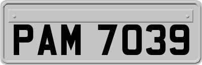 PAM7039