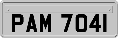 PAM7041