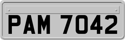 PAM7042