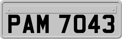 PAM7043