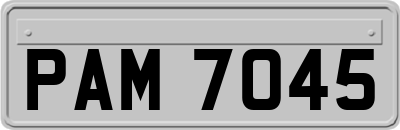 PAM7045