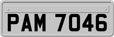 PAM7046