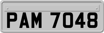 PAM7048