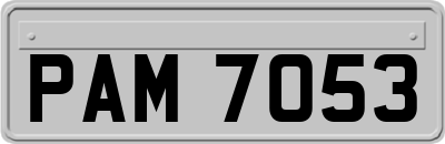PAM7053