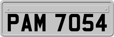 PAM7054