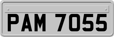 PAM7055