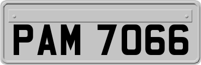 PAM7066