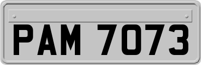 PAM7073