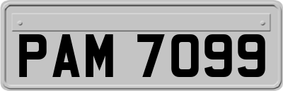 PAM7099