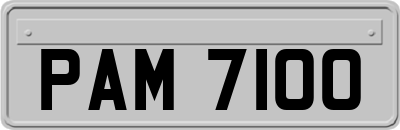 PAM7100