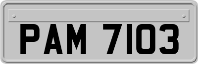 PAM7103