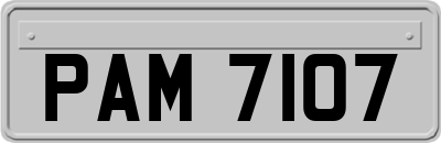 PAM7107