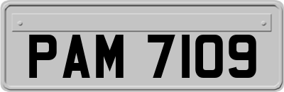 PAM7109