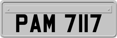 PAM7117