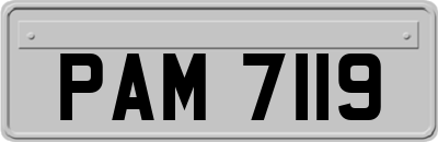 PAM7119