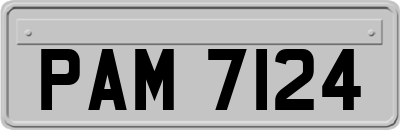 PAM7124