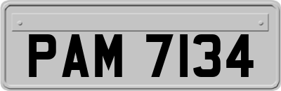 PAM7134