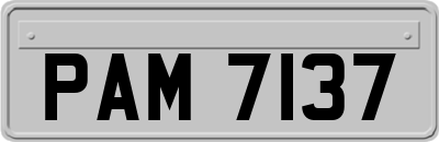 PAM7137