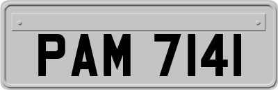 PAM7141