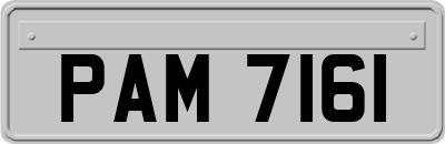 PAM7161