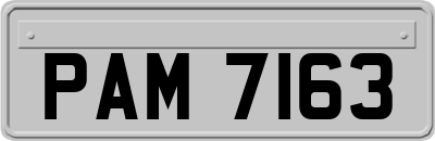 PAM7163