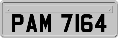 PAM7164