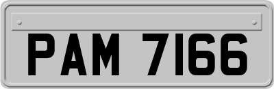 PAM7166