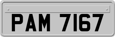 PAM7167