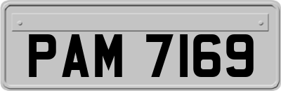 PAM7169