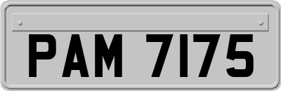 PAM7175
