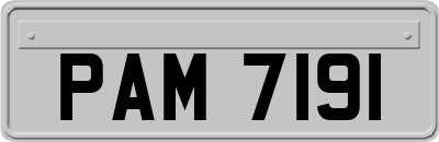PAM7191
