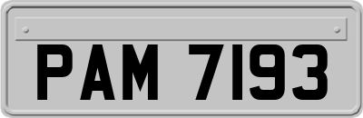 PAM7193