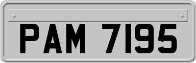 PAM7195