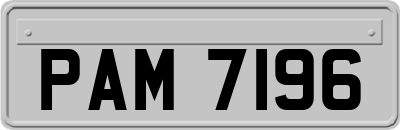 PAM7196