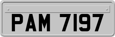 PAM7197