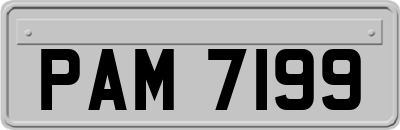 PAM7199